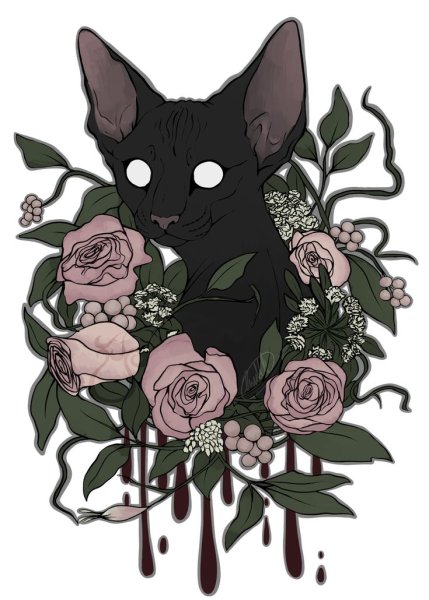 Котики и цветы арты