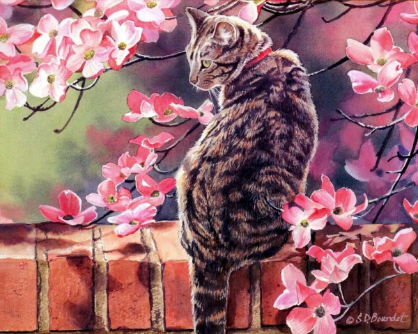 Сьюзен Бордет картины кошки