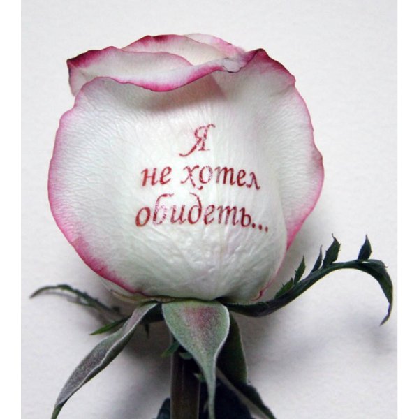 Букет цветов с надписью