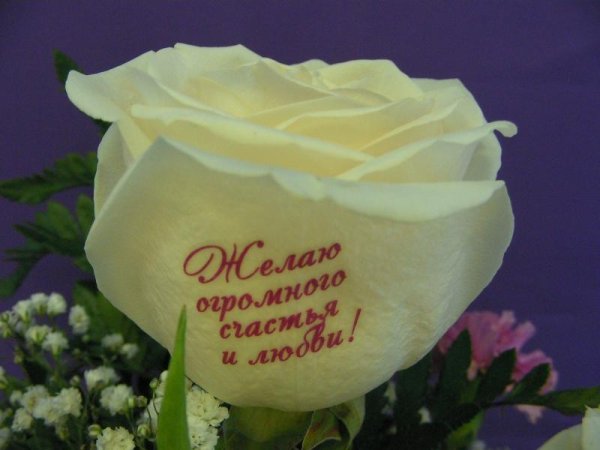 Букет роз с пожеланиями