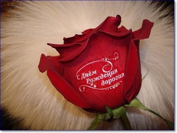 С днём рождения розы с надписью