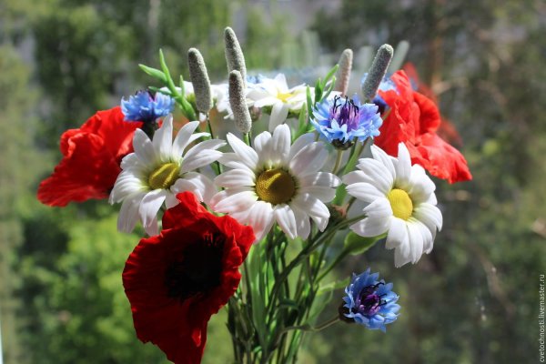 Летний букет