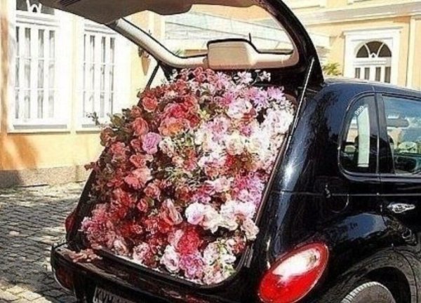 Цветы в багажнике машины
