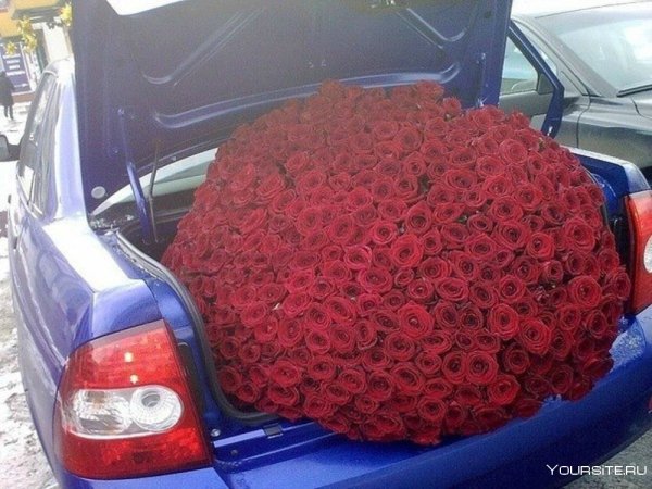 Розы в багажнике