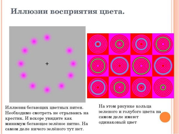 Эффект Трокслера