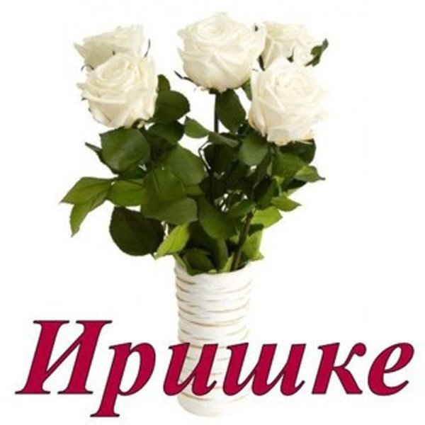 Цветы для Ирочки