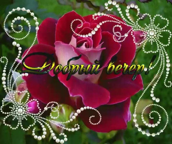 Бесплатные мерцающие открытки