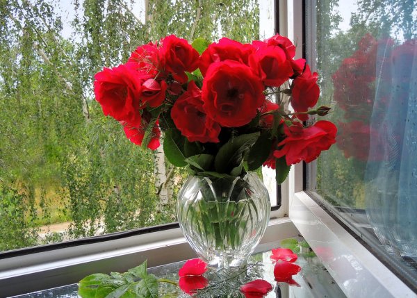 Подоконник с цветами
