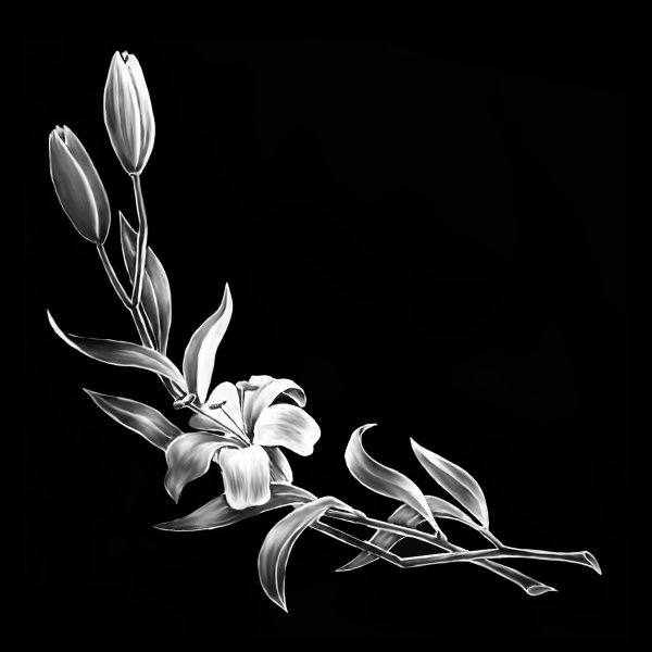 Лилия гравировка
