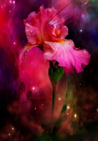 Фантастические цветы