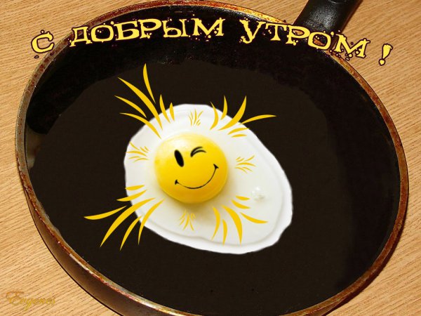 Красочное летнее утро