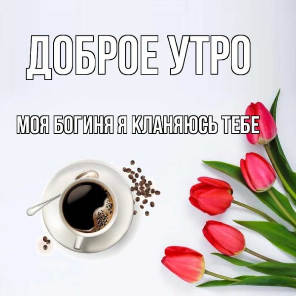 Доброе утро с цветами и пожеланиями
