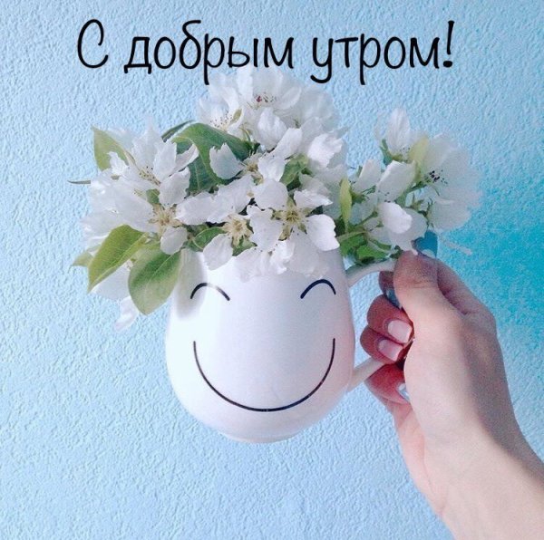 Стикеры с добрым утром красивые