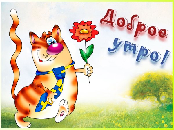 Открытки с добрым утром прикольные