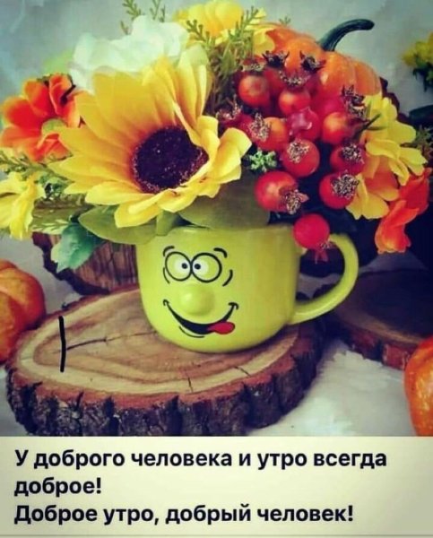 Доброе летнее утро