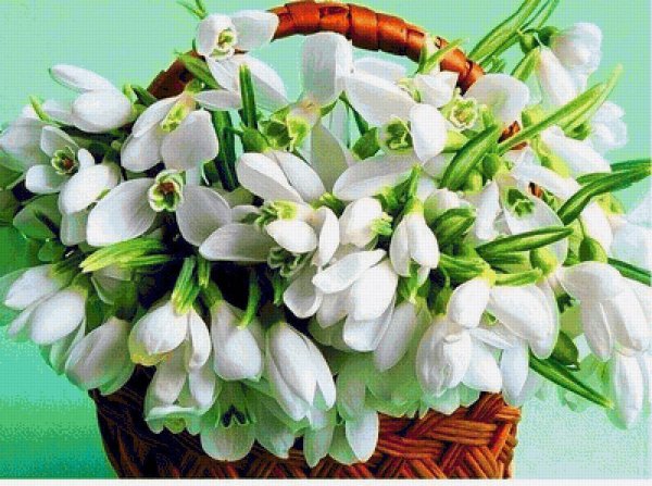 Голубые цветы подснежники