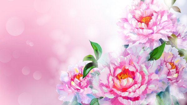 Цветы абстракция