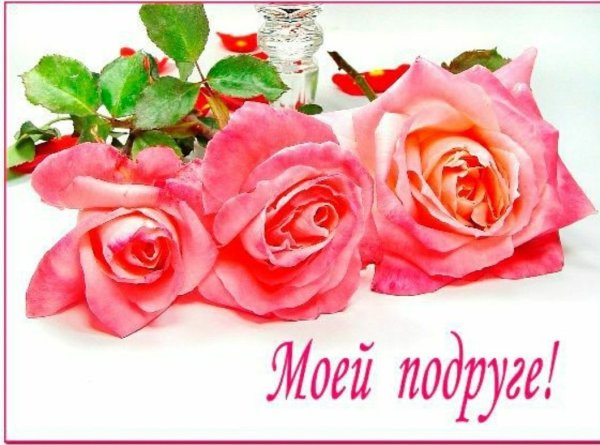 Цветы для подруги открытки