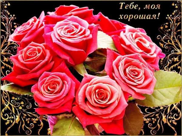 Открытка тебе моя хорошая