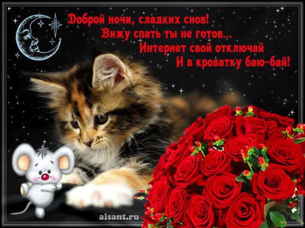 Доброй ночи сладких снов