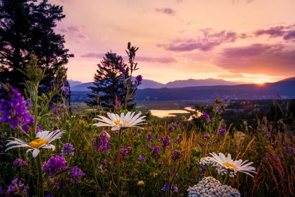 Красота природы