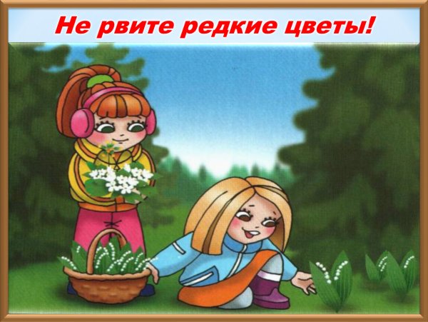 Мир насекомых