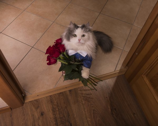 Необычные букеты