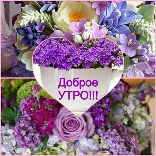 С добрым утром цветы пожелания