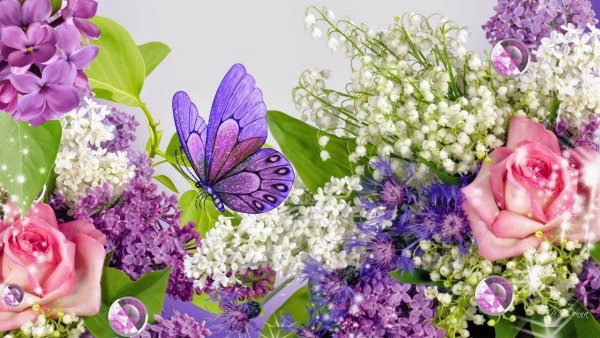 С днем рождения подснежники