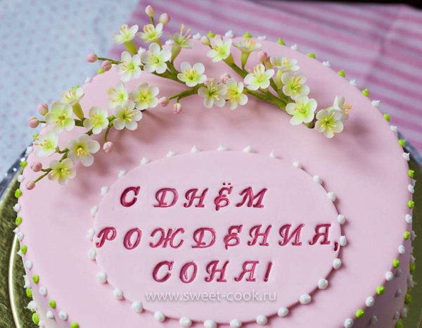 Поздравления с днём рождения девочке Соне