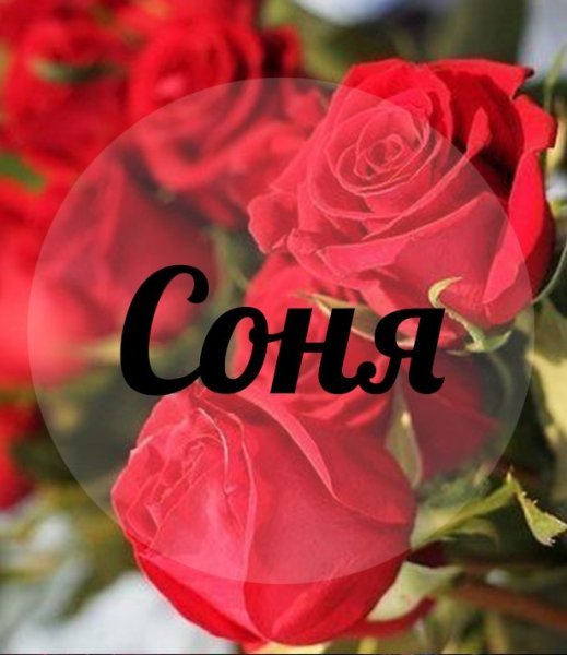 Имя Сонечка
