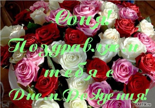 С днём рождения Соня