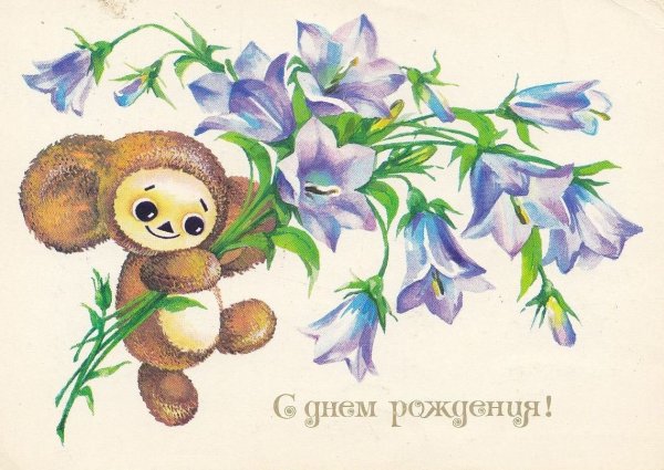 С днём рождения Сонечка