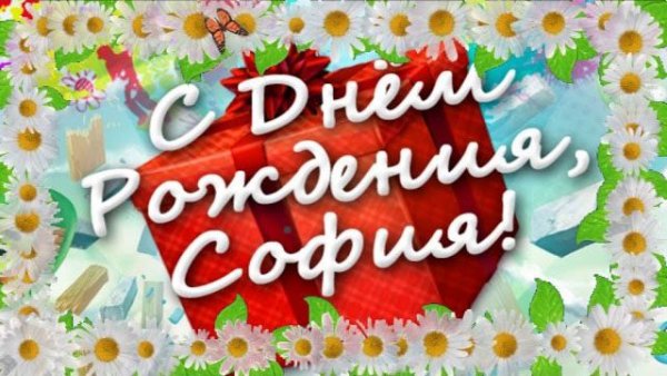 Софа с днем рождения
