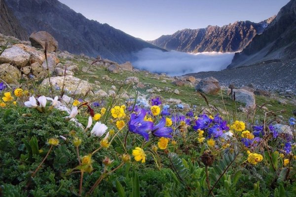 Альпийские Луга Армении