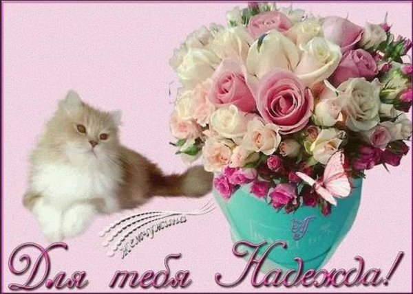 Красивые цветы надежде