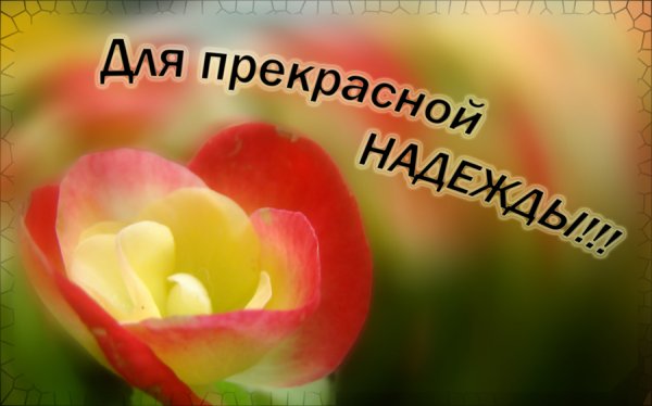 Наденьке цветы