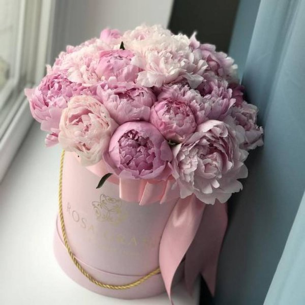 Красивые пионы в коробках
