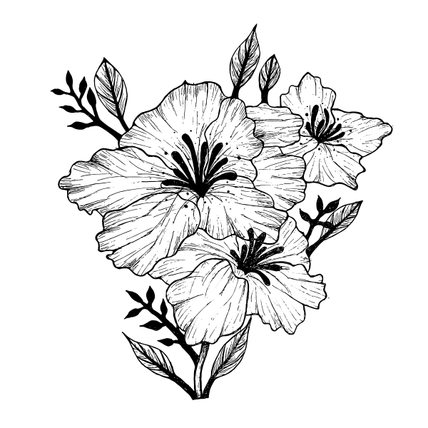 Цветы Графика