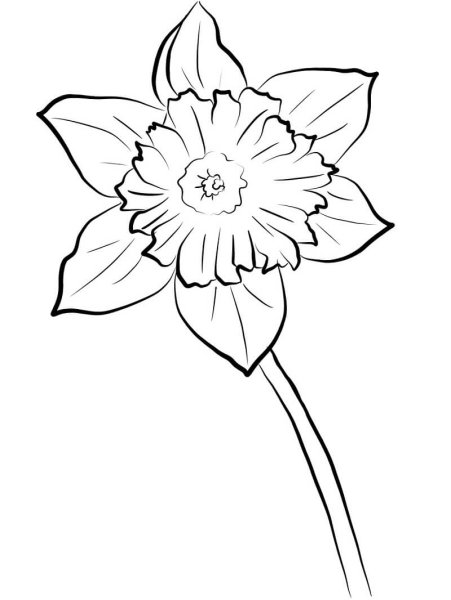 Ромашка раскраска