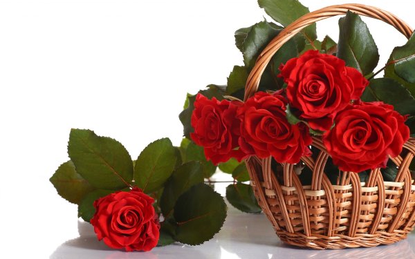 Розы для любимой