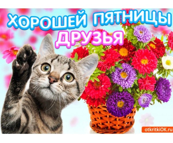 Пожелания девушке