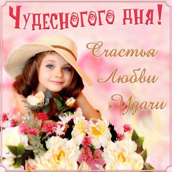Открытки с добрым утром пятницы