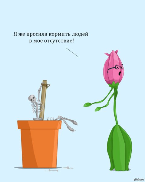Цветы карикатура