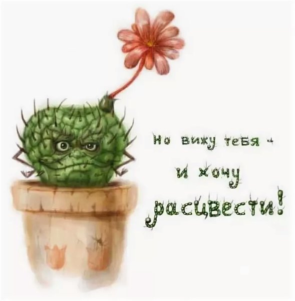 Открытка с пожеланиями кактусы