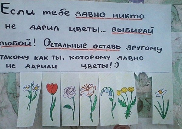 Смешные объявления о цветах