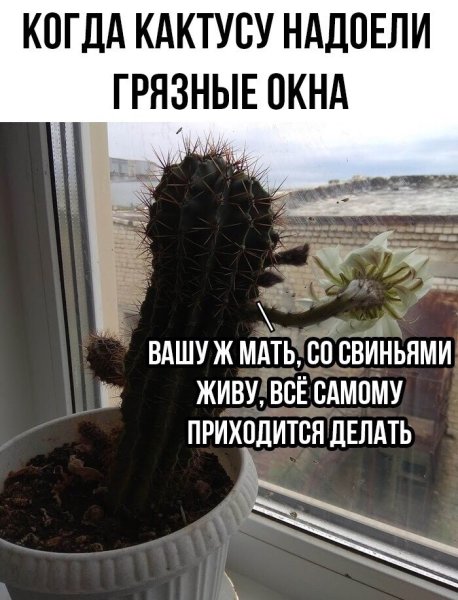 Мужчина дарит цветы женщине с юмором