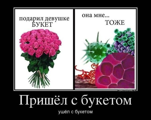Веселый хрен