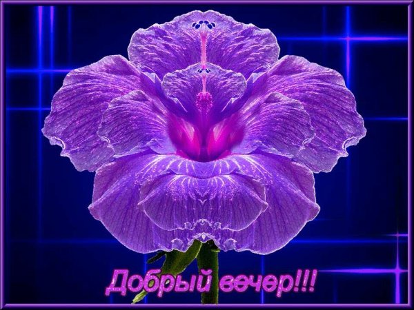 Нежный натюрморт