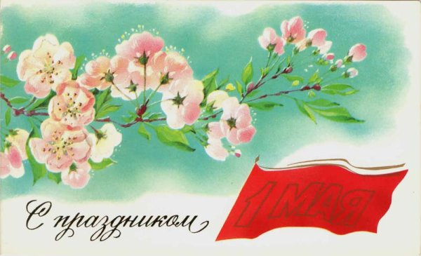 1 Мая цветы